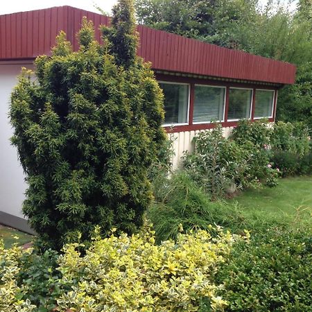 Risskov Bellevue Guesthouse オールフス エクステリア 写真